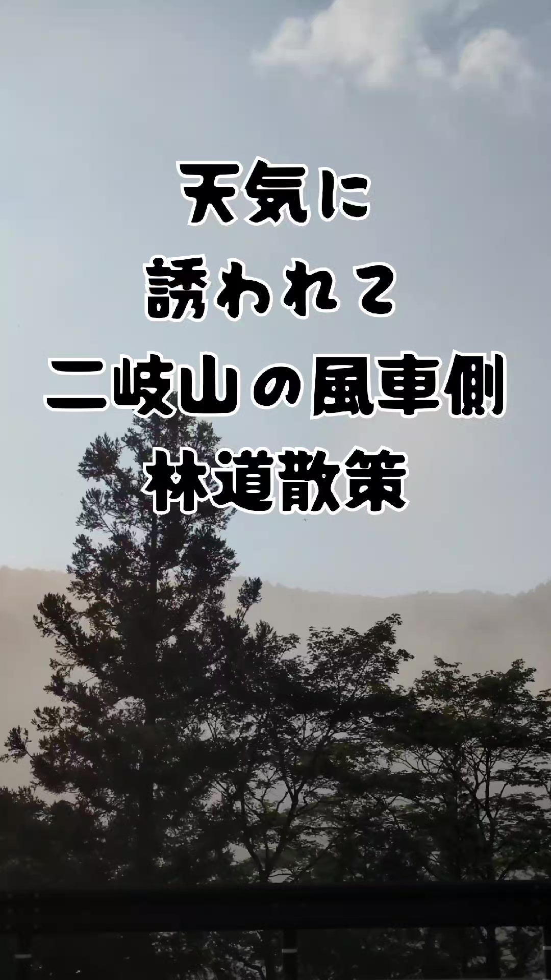 @若旦那