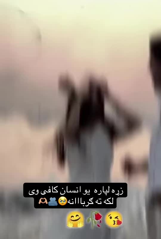 @𓆩حـــــــــــــــیاء𓆪