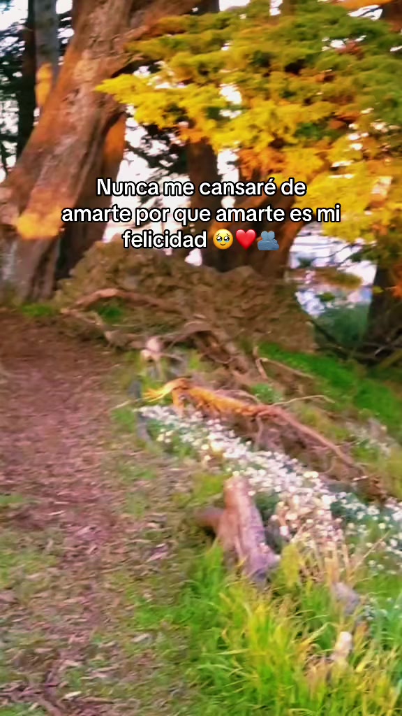 @ANDRE😍🇬🇹