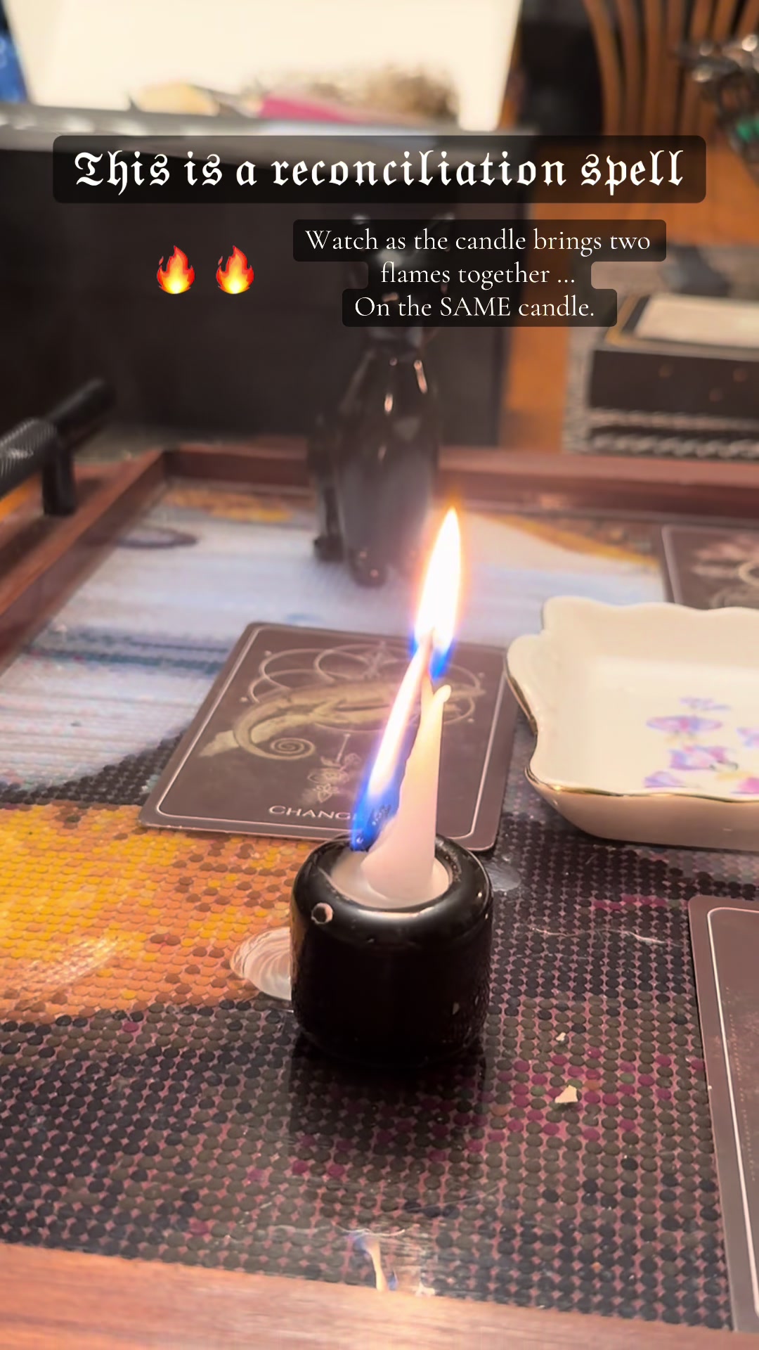 @tarotwithtaylor1