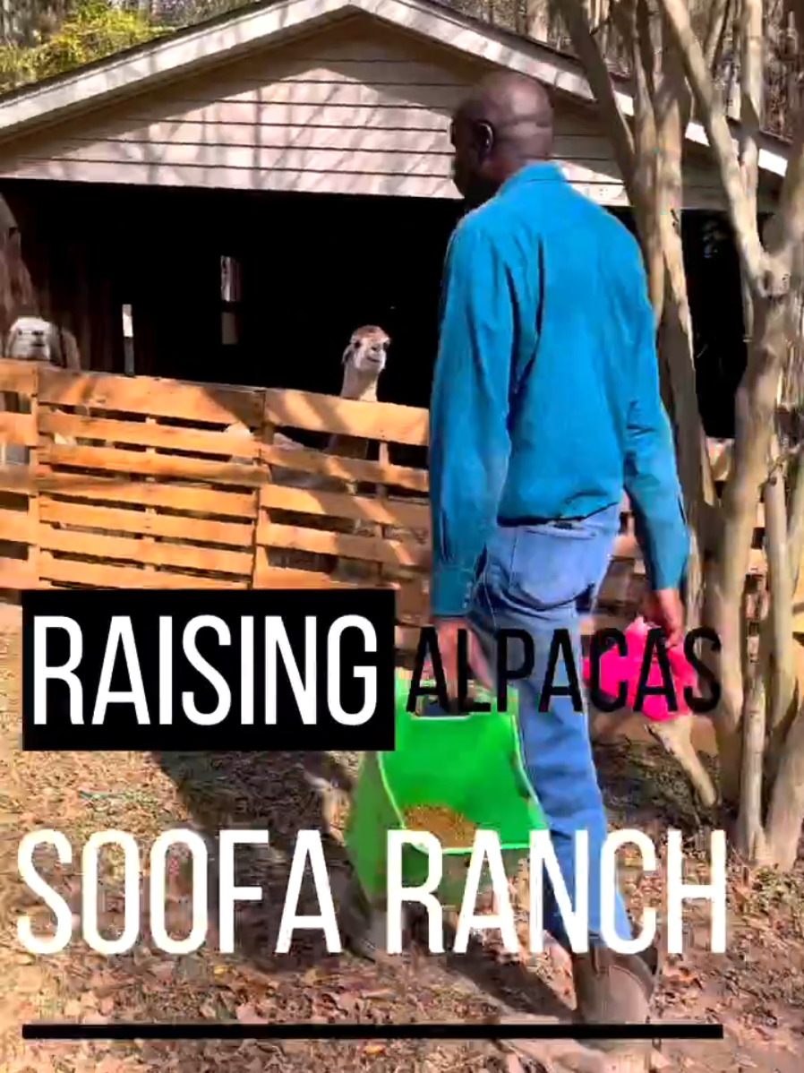 @Black Cowboy Coalition