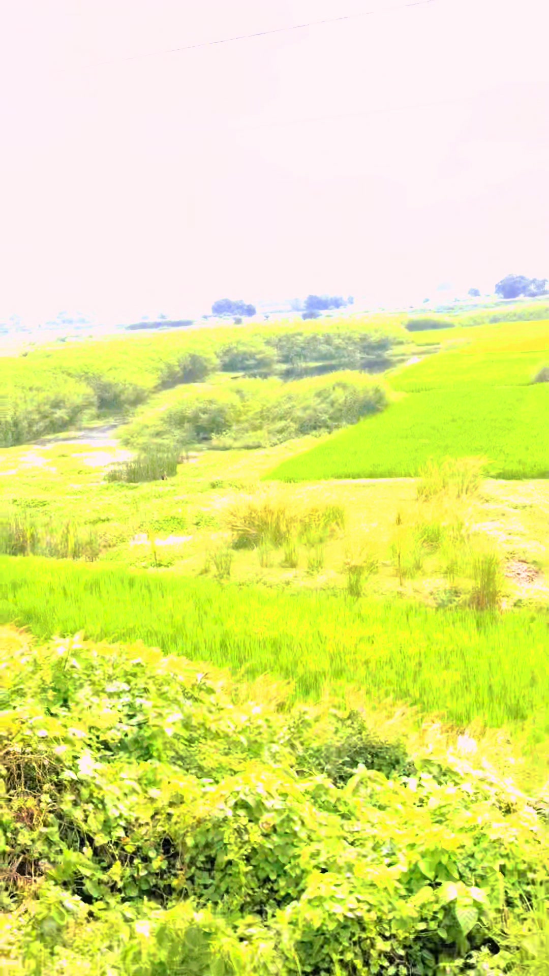 @Jay Lalita Kumari Mukhiya