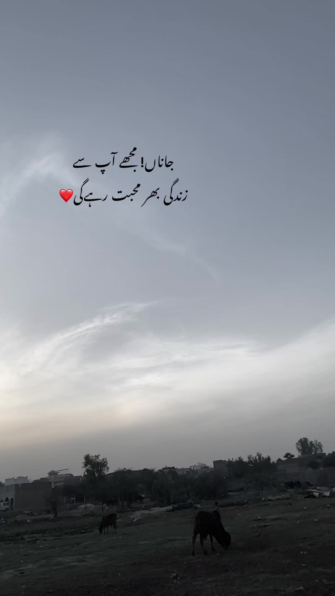 @ℍ𝕒𝕤𝕟𝕒𝕚𝕟_𝕨𝕣𝕚𝕥𝕖𝕤❤🩹