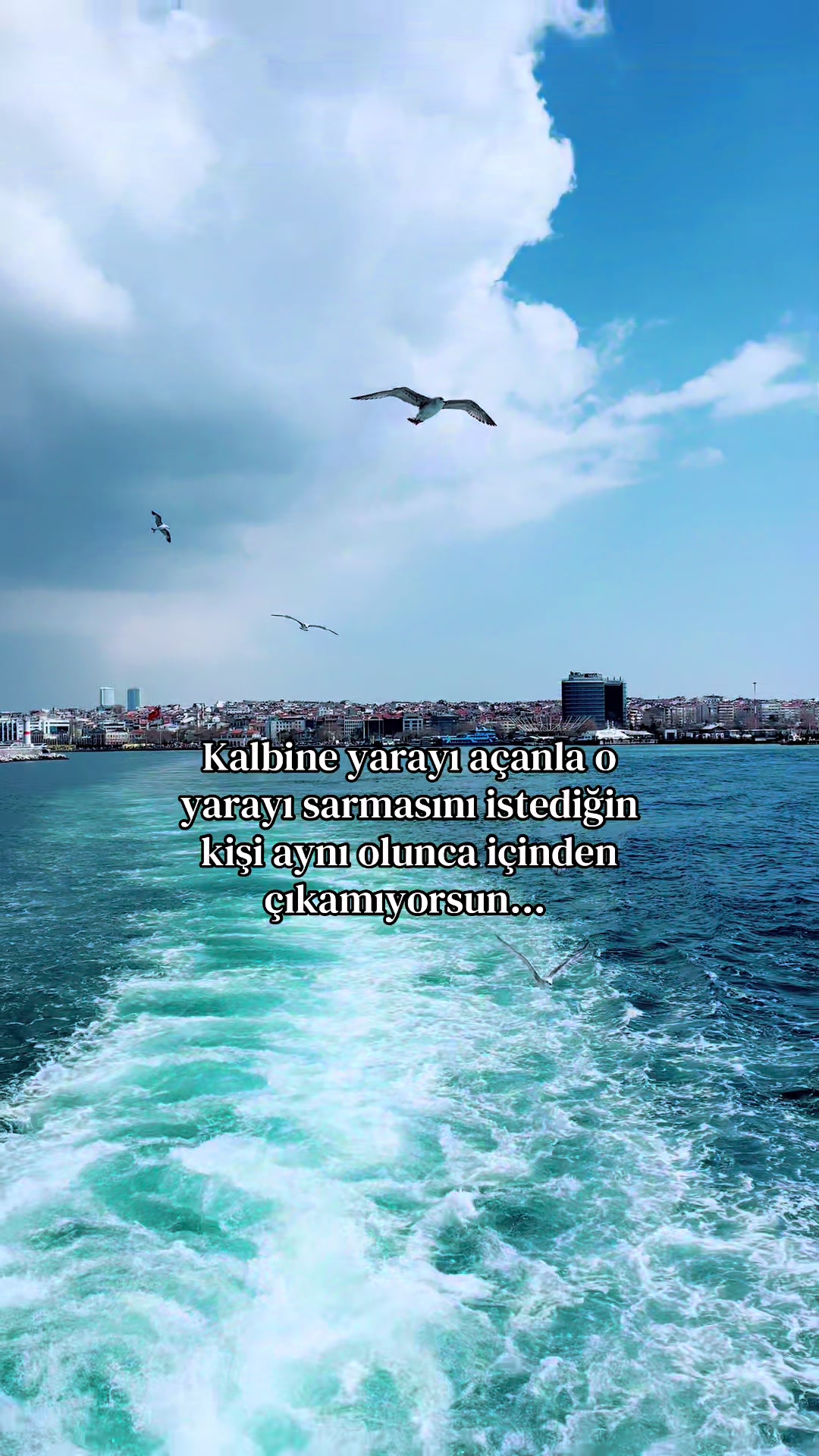@niktofobi