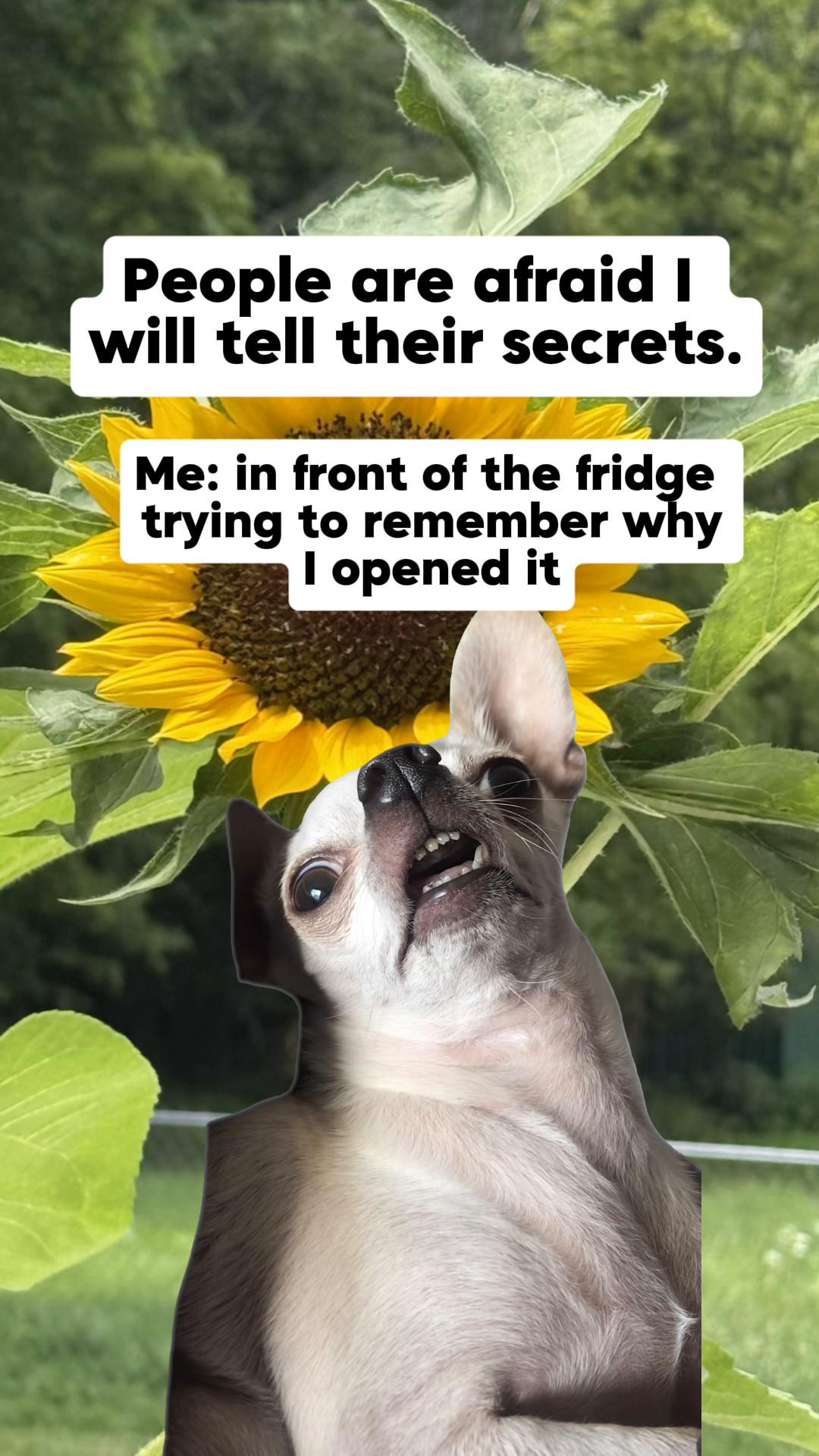 @Alyssa Maxine | MAMA
