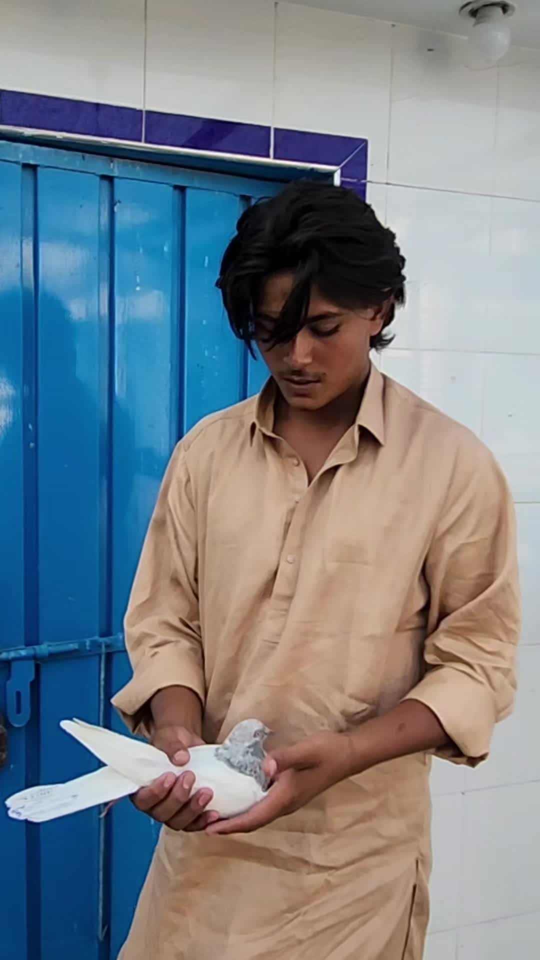 @amrakalan5