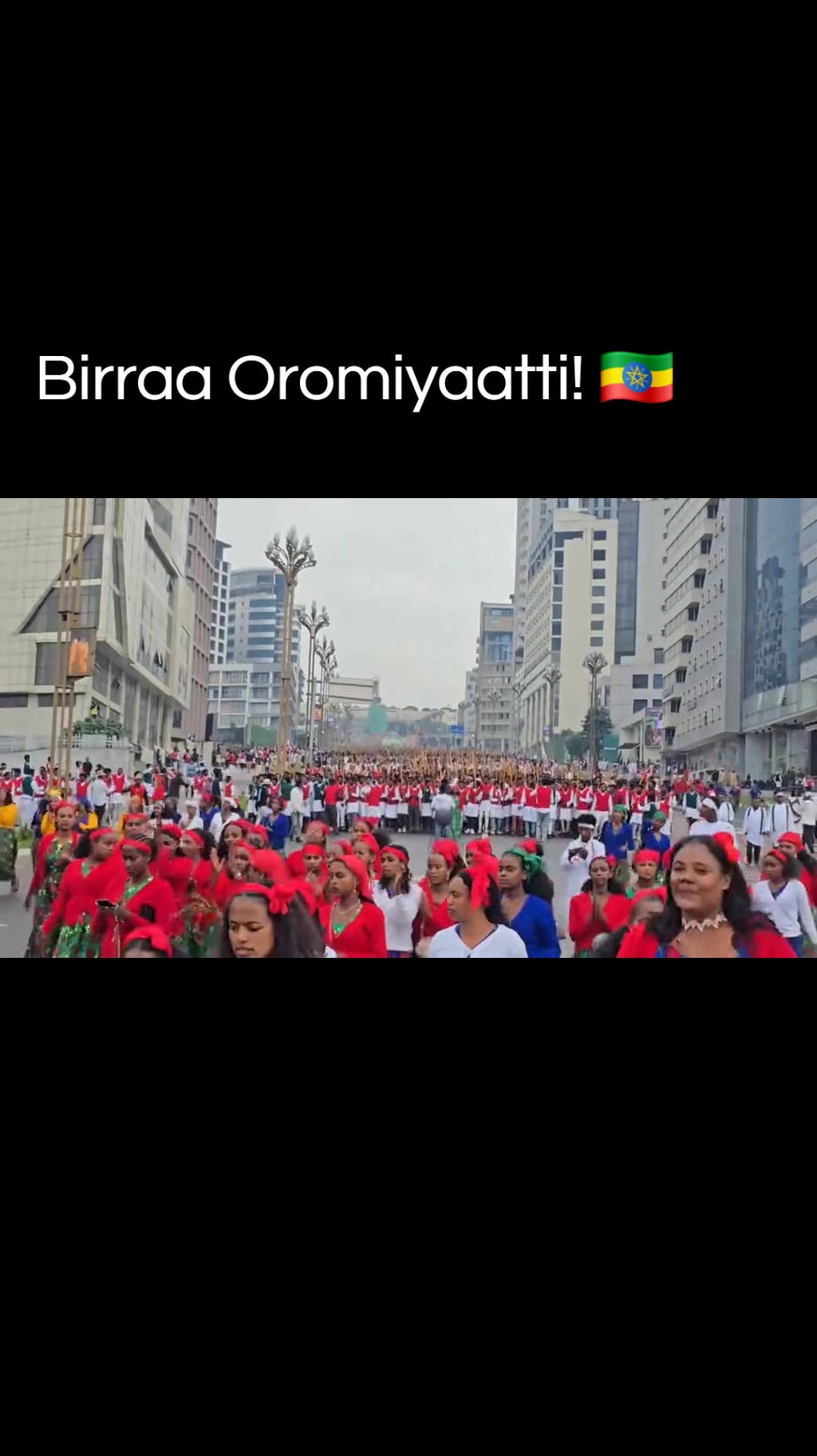 @Shimallis Abdisa Parody