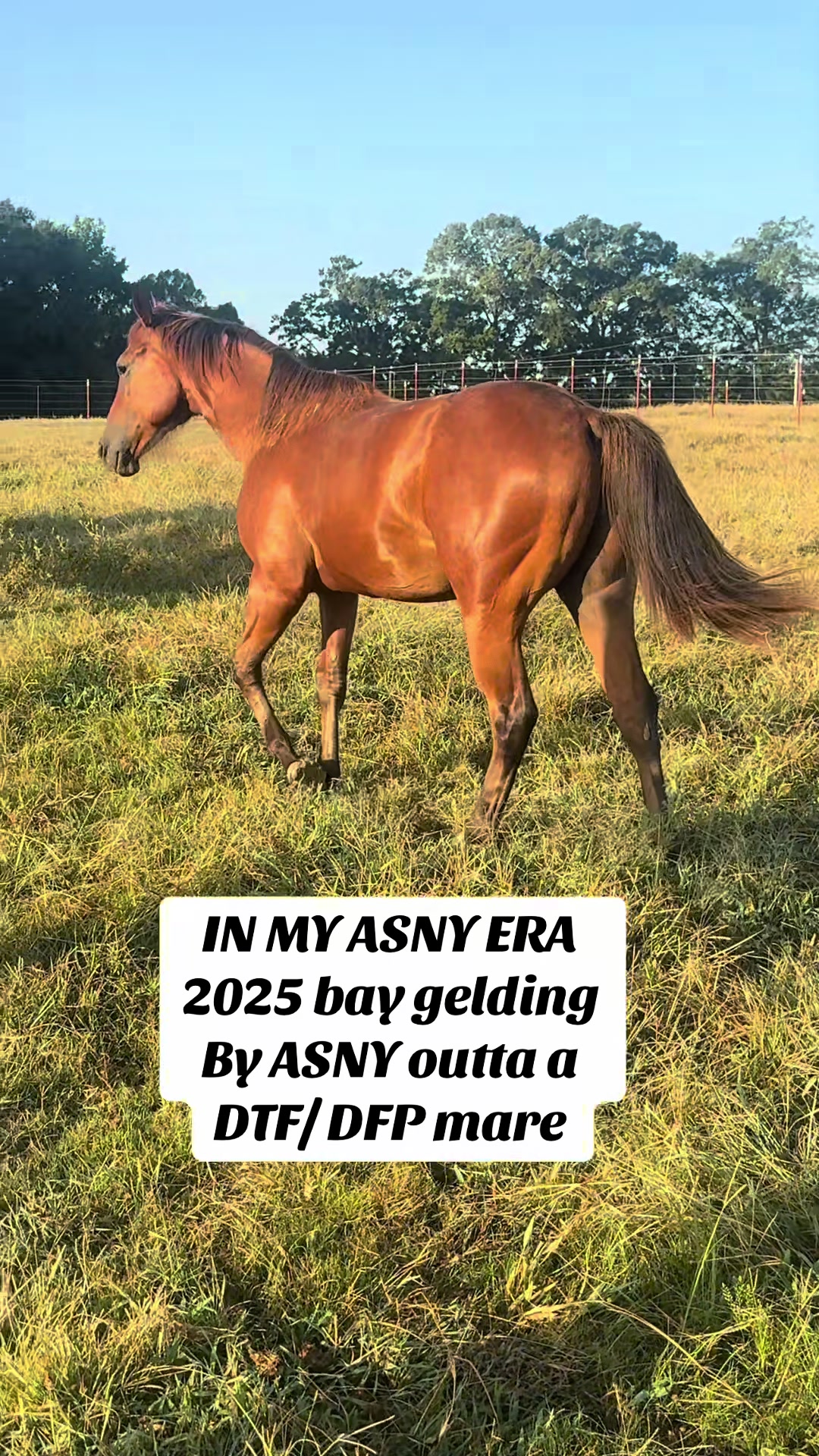 @Josh Andrews