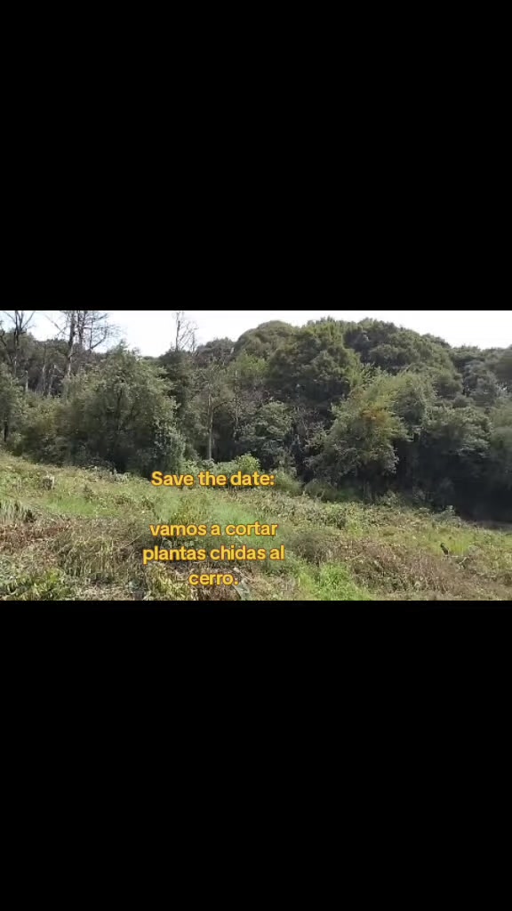 @@LaVañaPaola