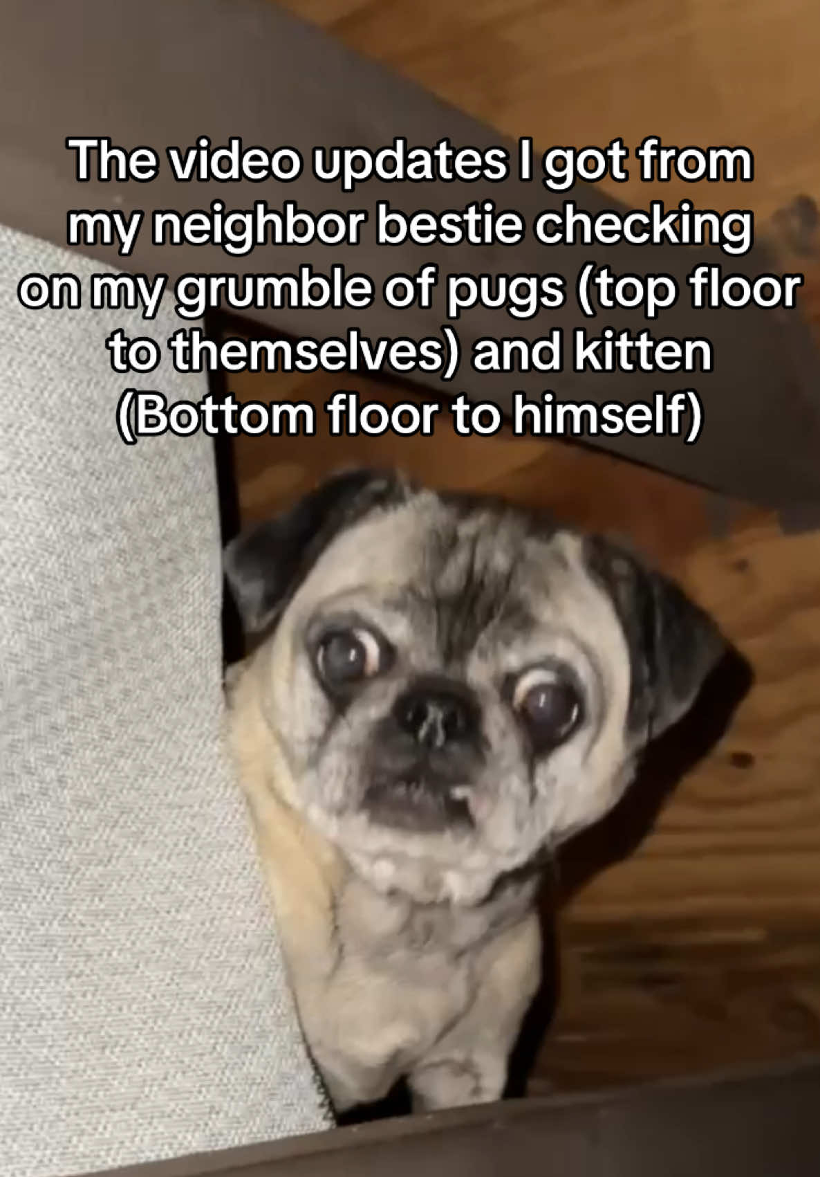 @beffers
