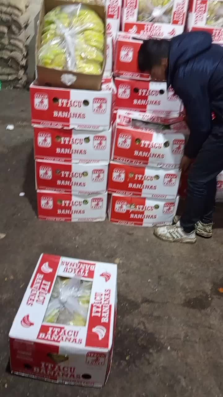 @فايق مسطو