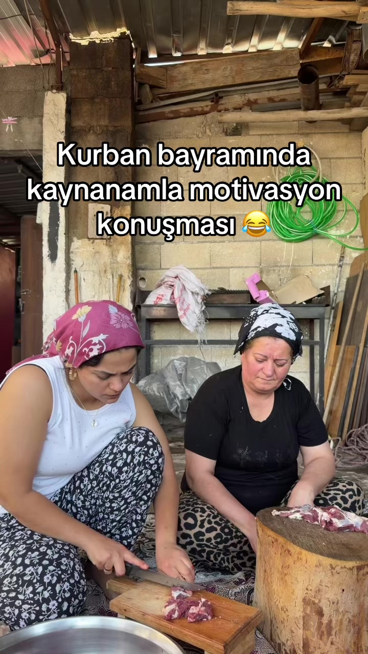 @pelindenizsahan2