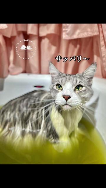 @しまい