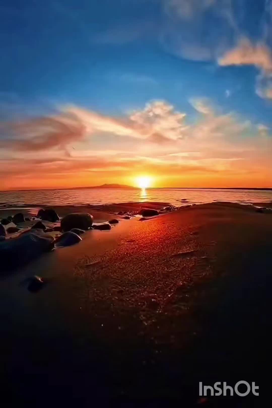 @🌺