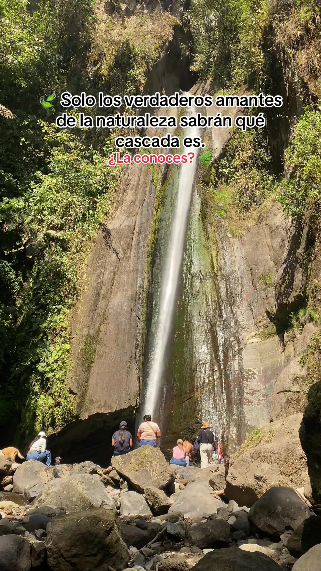 @⚔️MaryTravel Ec🌎🇪🇨