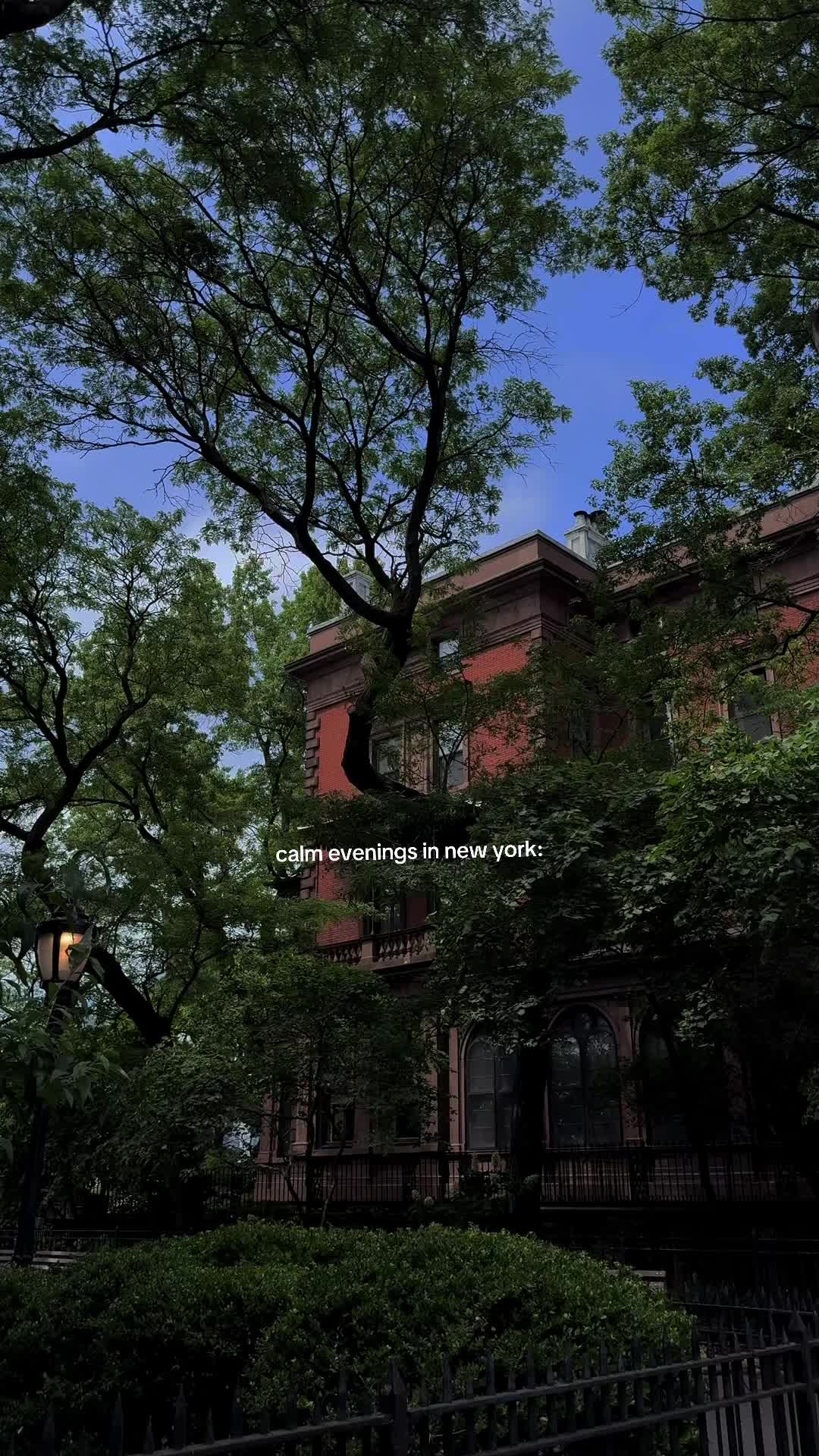 @elena joyce | travel & nyc