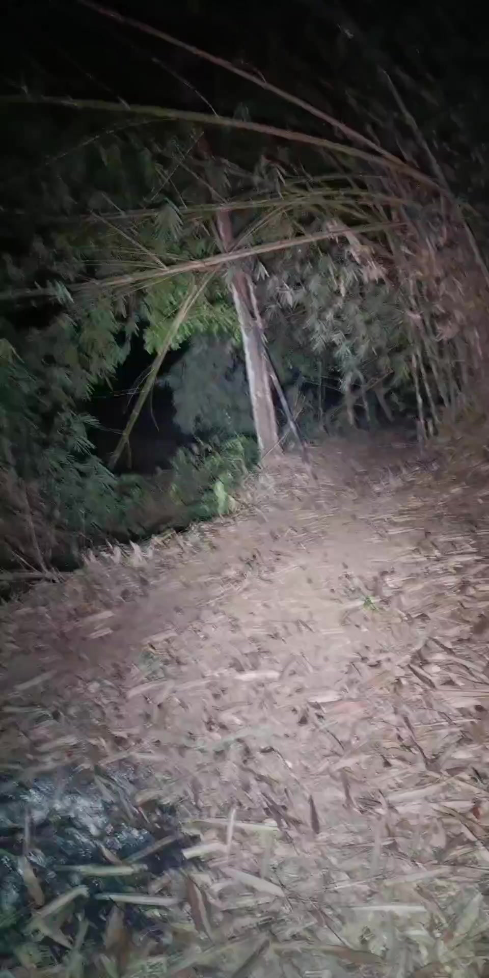 @๐๐๐ง๐๐ซ๐ ๐๐ข๐ฃ๐๐ฒ๐