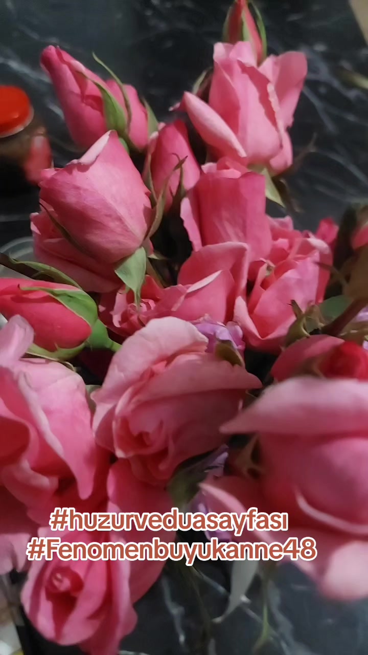 @Fenomenbuyukanne48