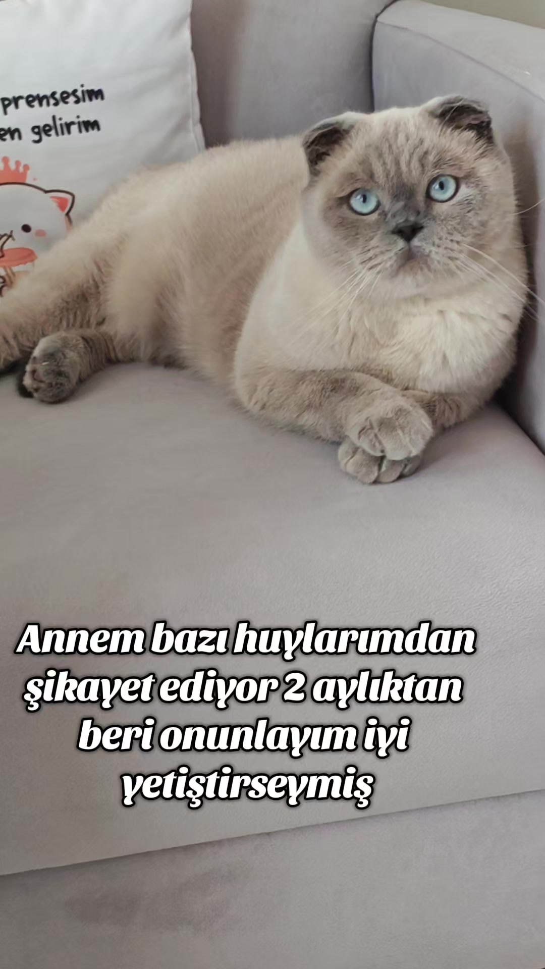 @💙SÜTLAÇ BEY💙