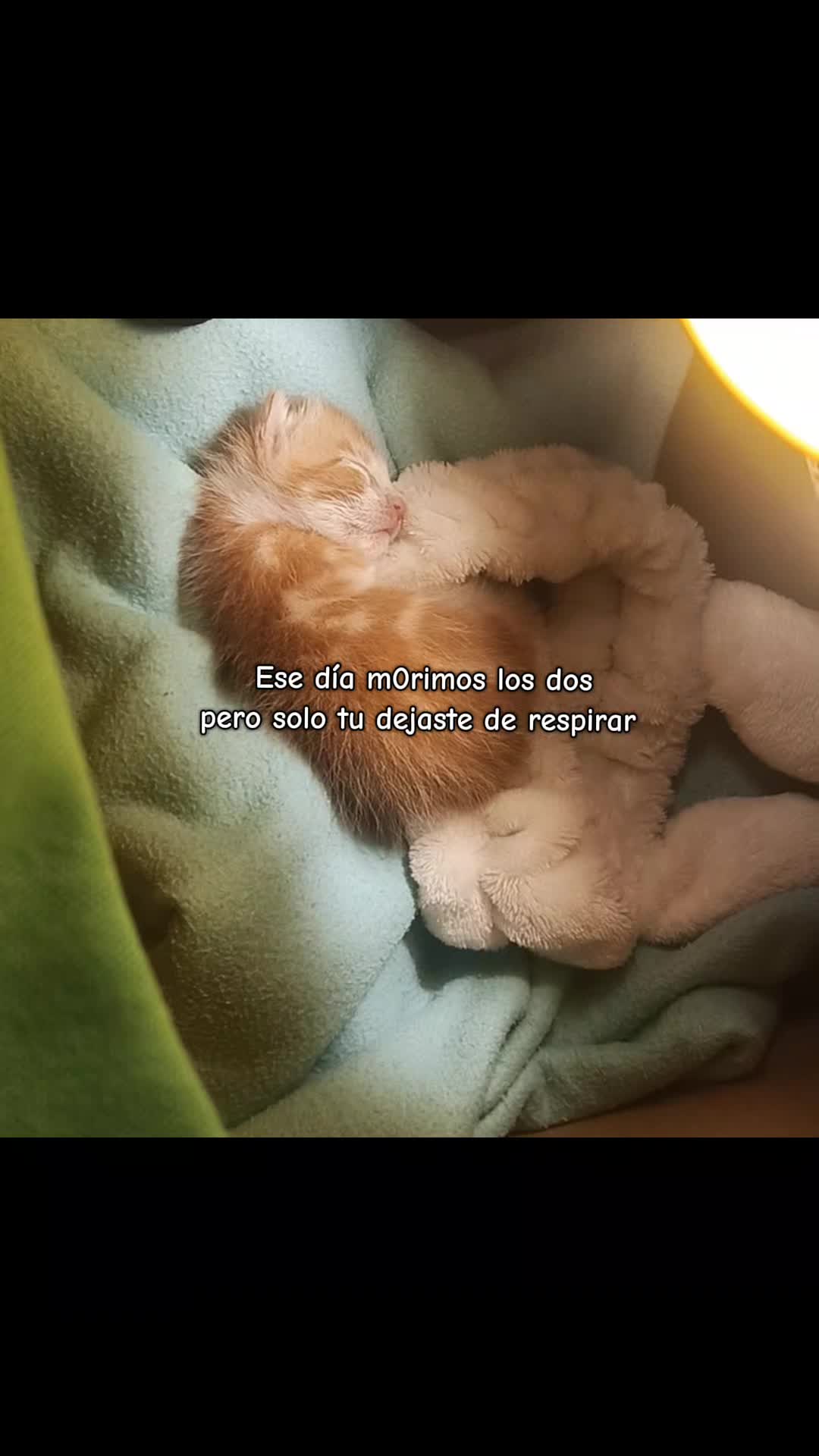 @Cangrejito_Kim⁷