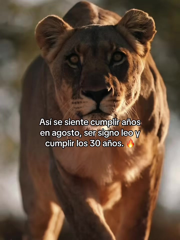 @Elisaag