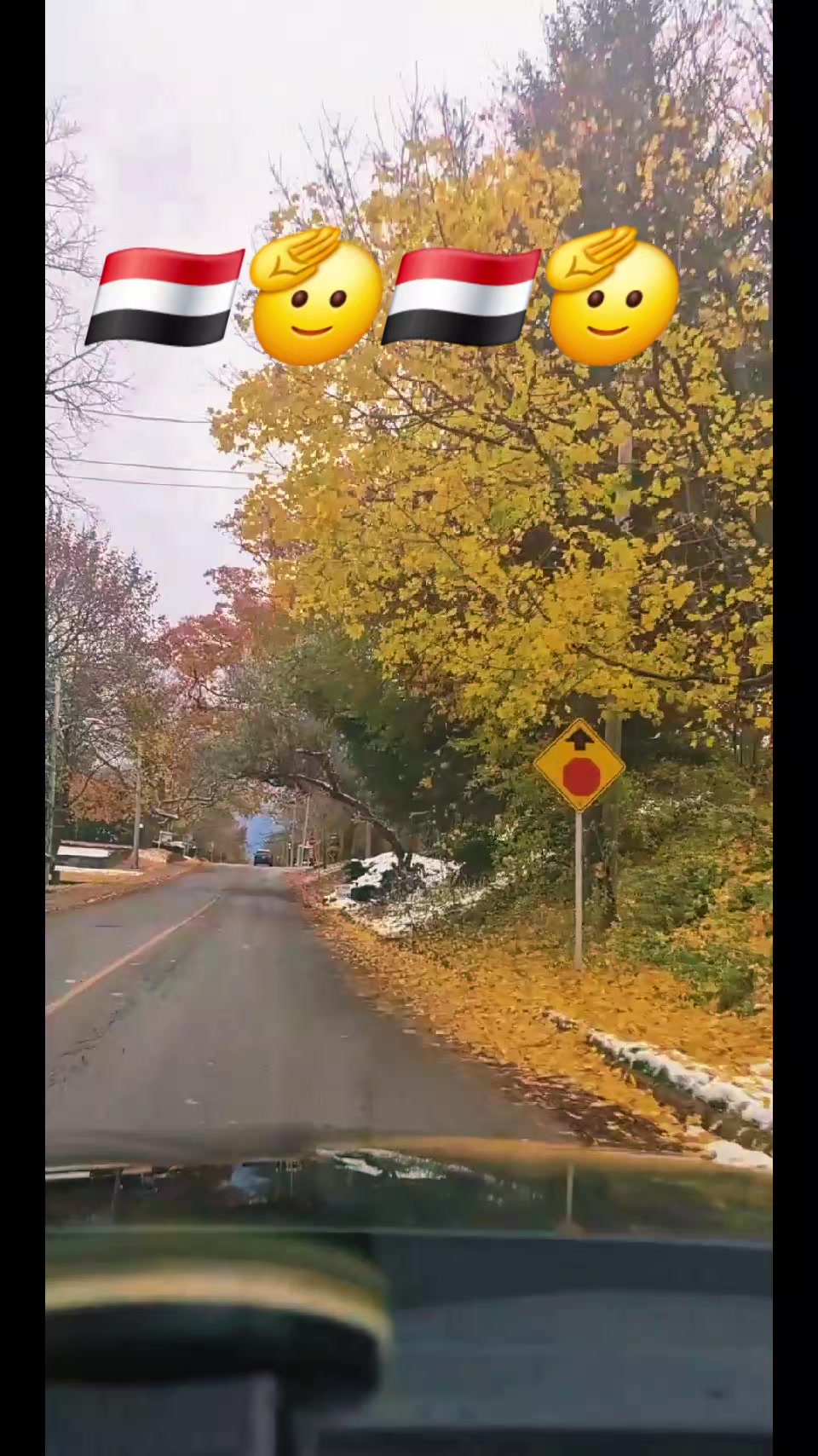 @مايا 🇾🇪🇨🇦