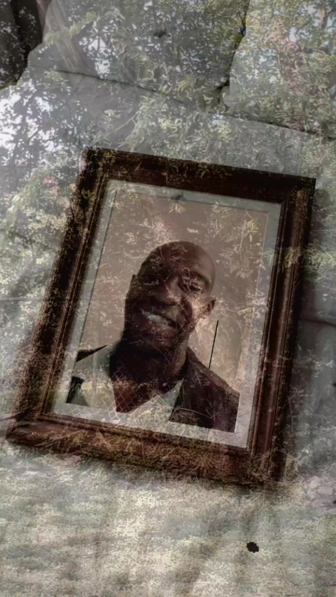 @Whitaker.Sr