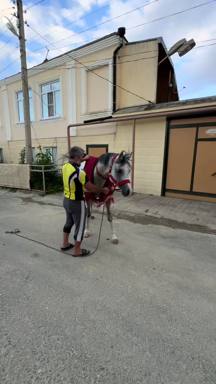 @MakvinStud