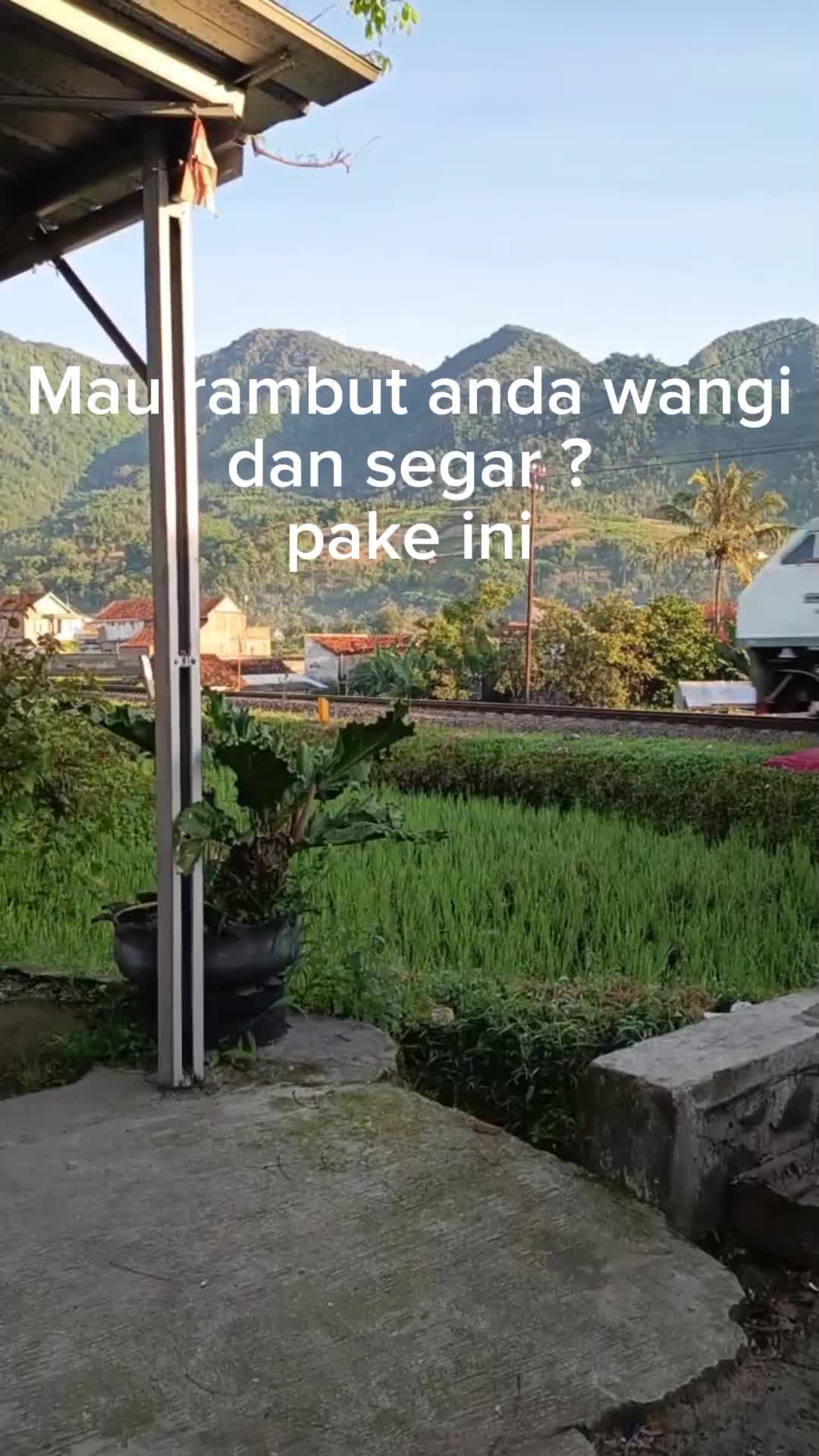 @Zhangze