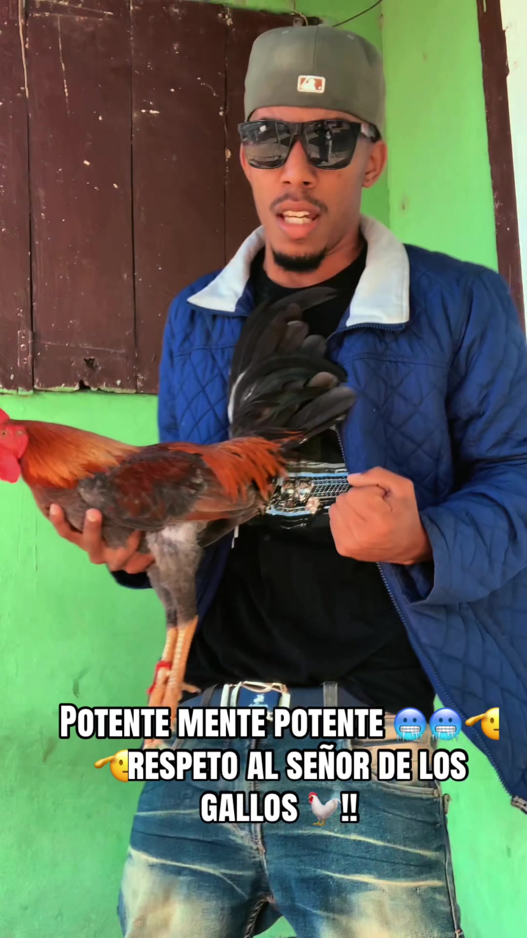 @OVNY POTENTE