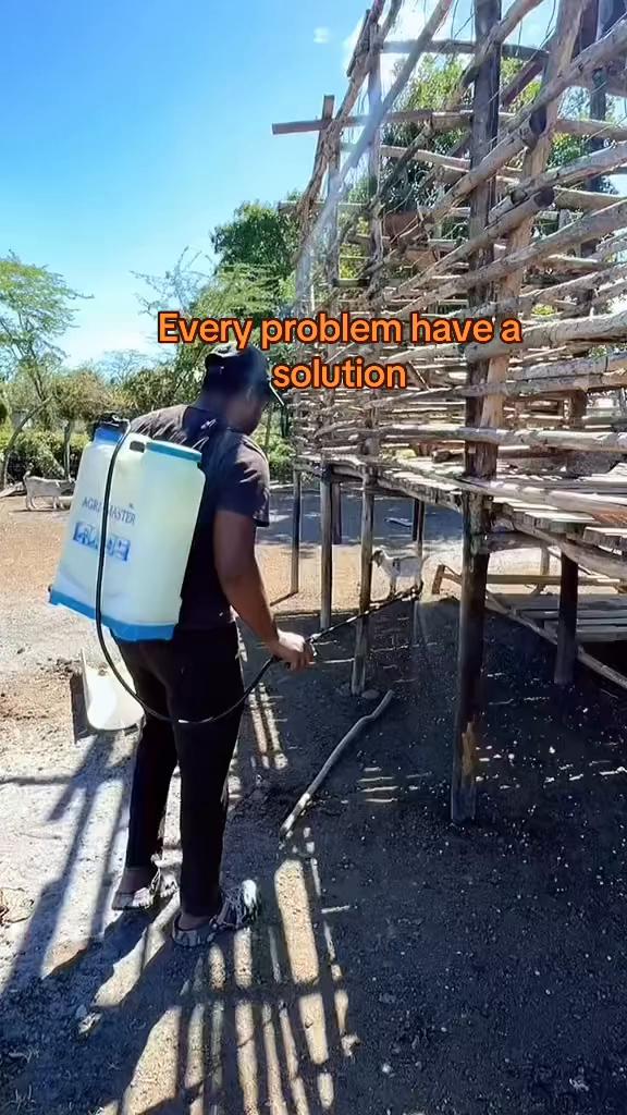 @GrazingJamaica