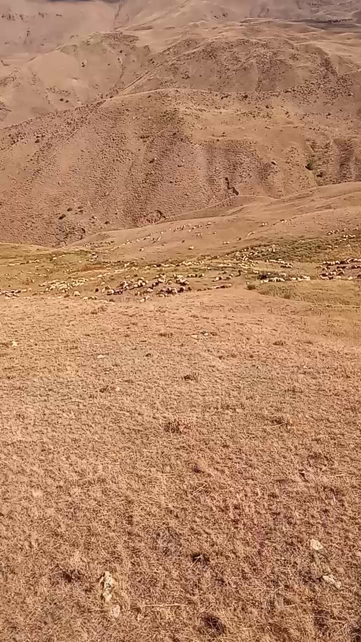 @Zahid cehrili
