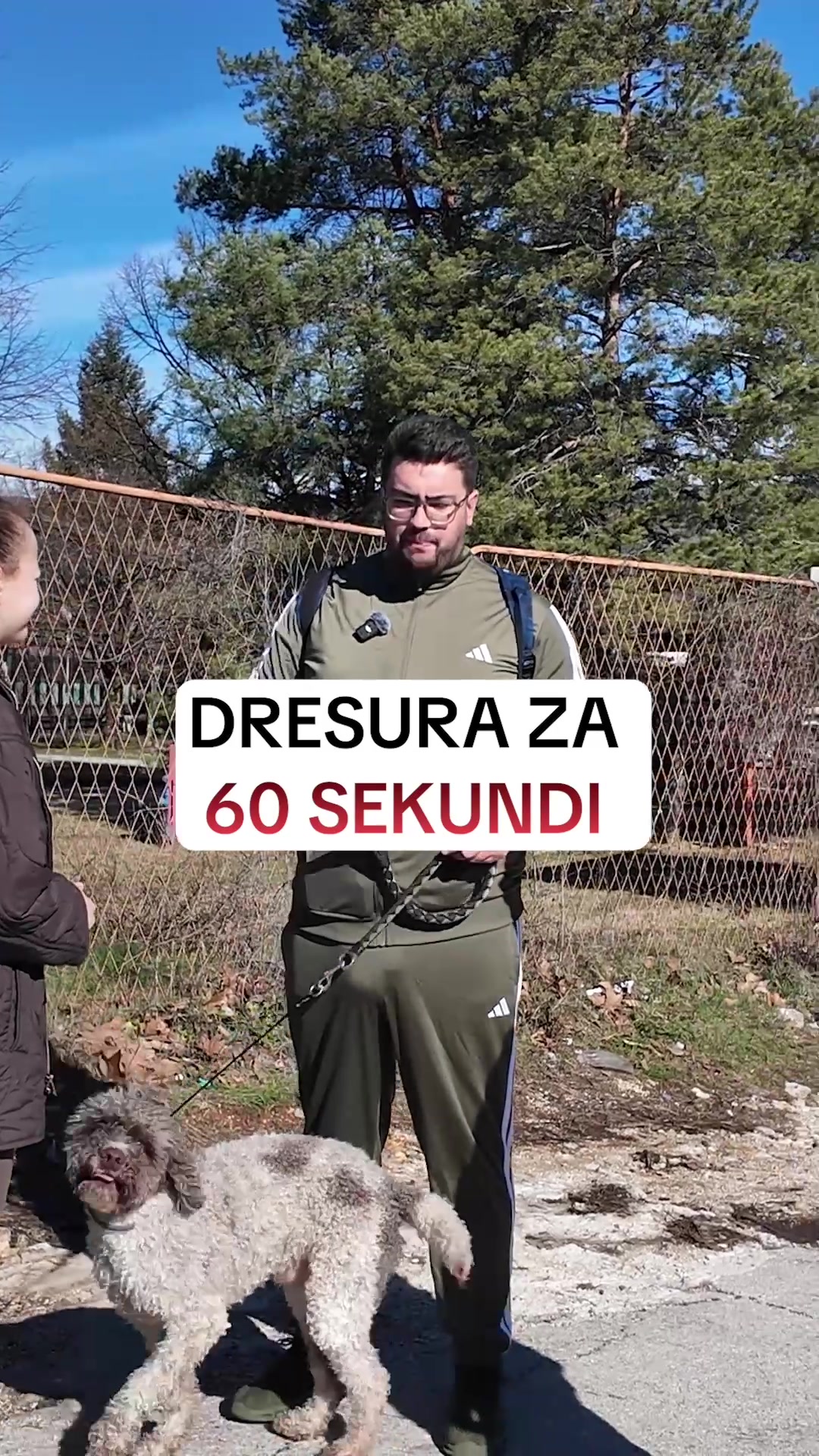 @superdog.akademija