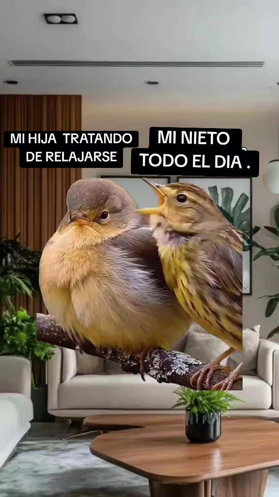@m.elisa theniers