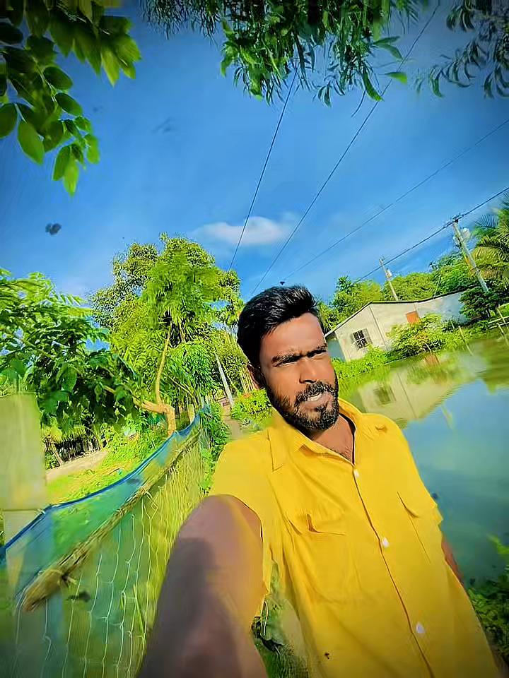 @banglavai4