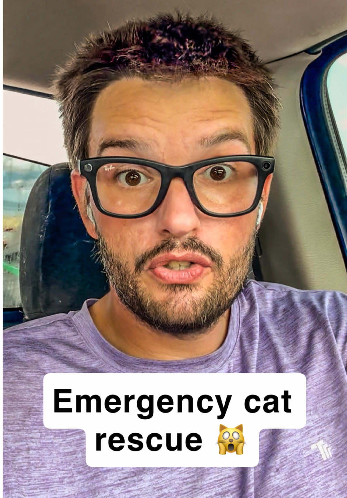 @first class whiskers