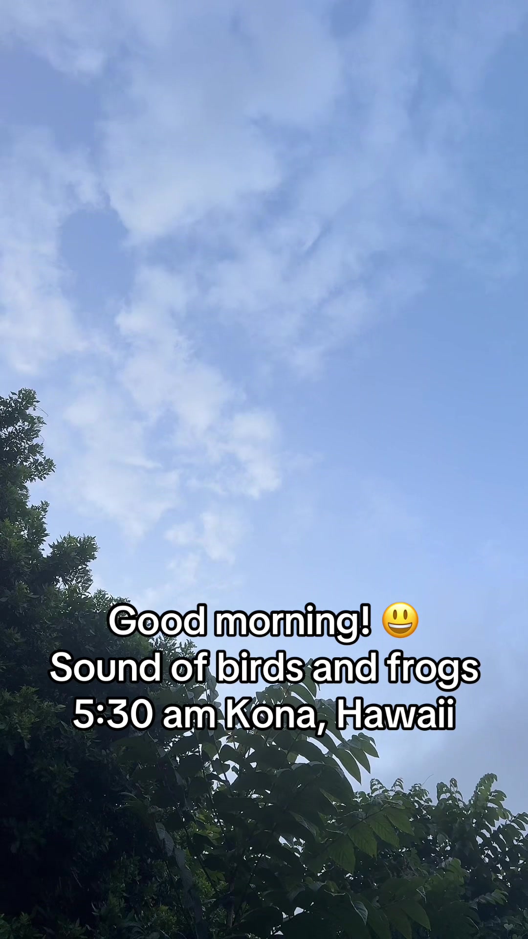 @Jeff Hawaii Pro