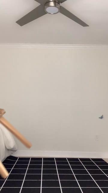 @arii