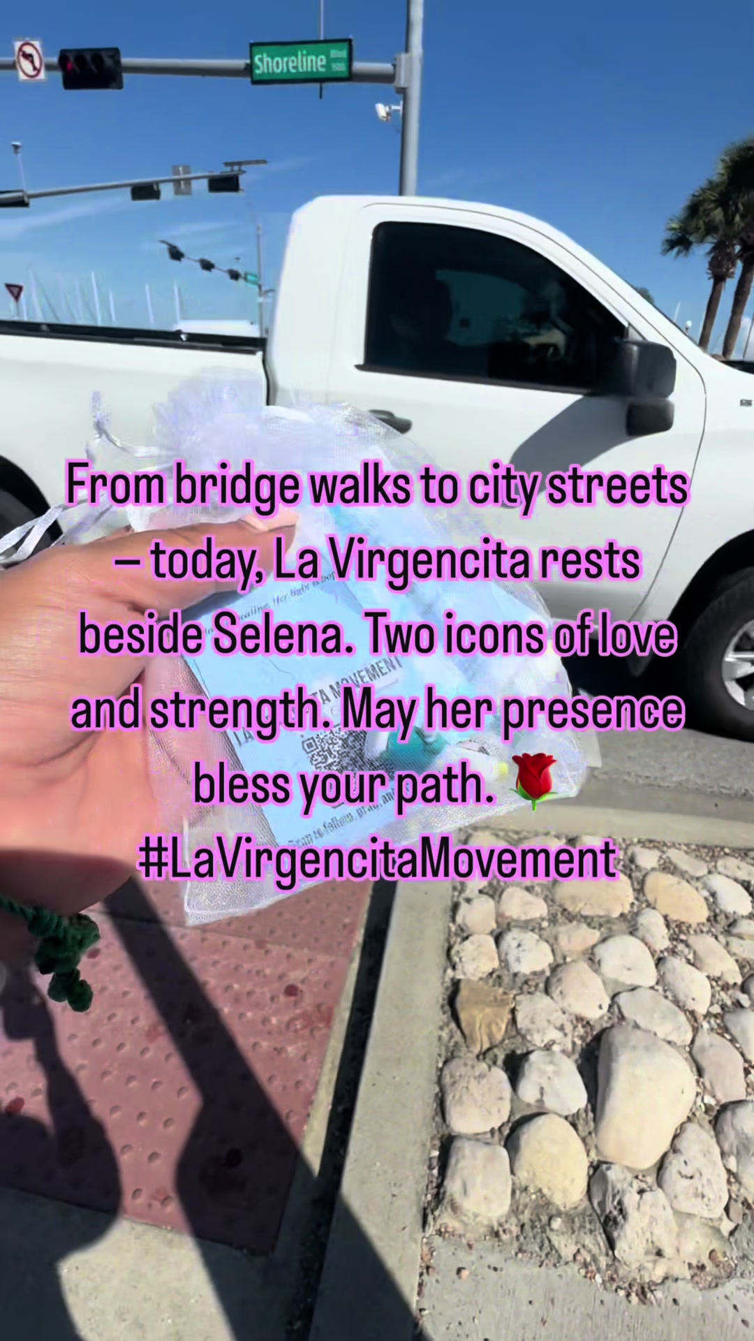 @La Virgencita Movement