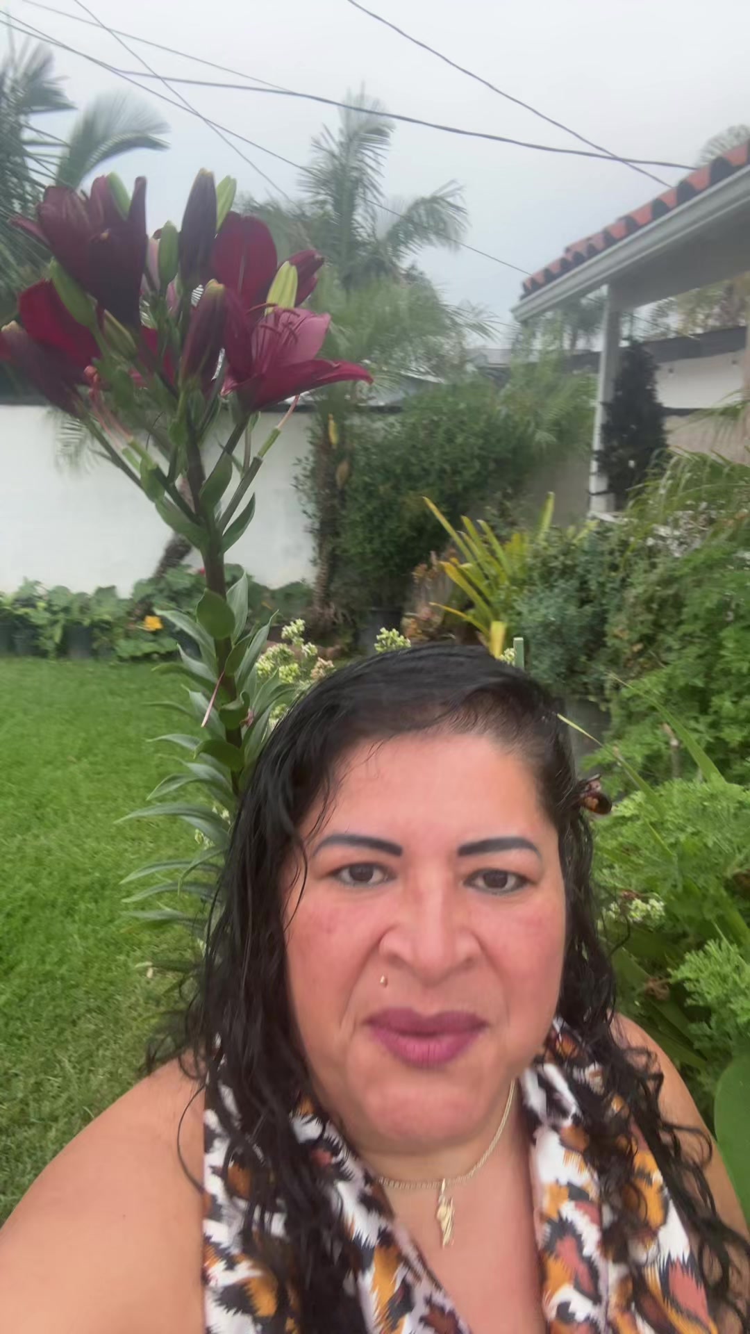 @💕🌺 lili 🌺💞