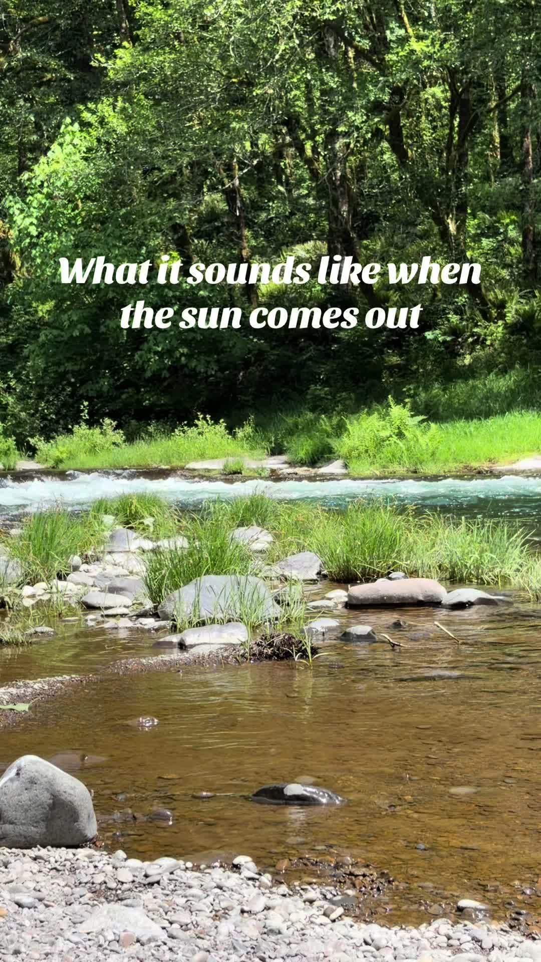 @oregonskyveek