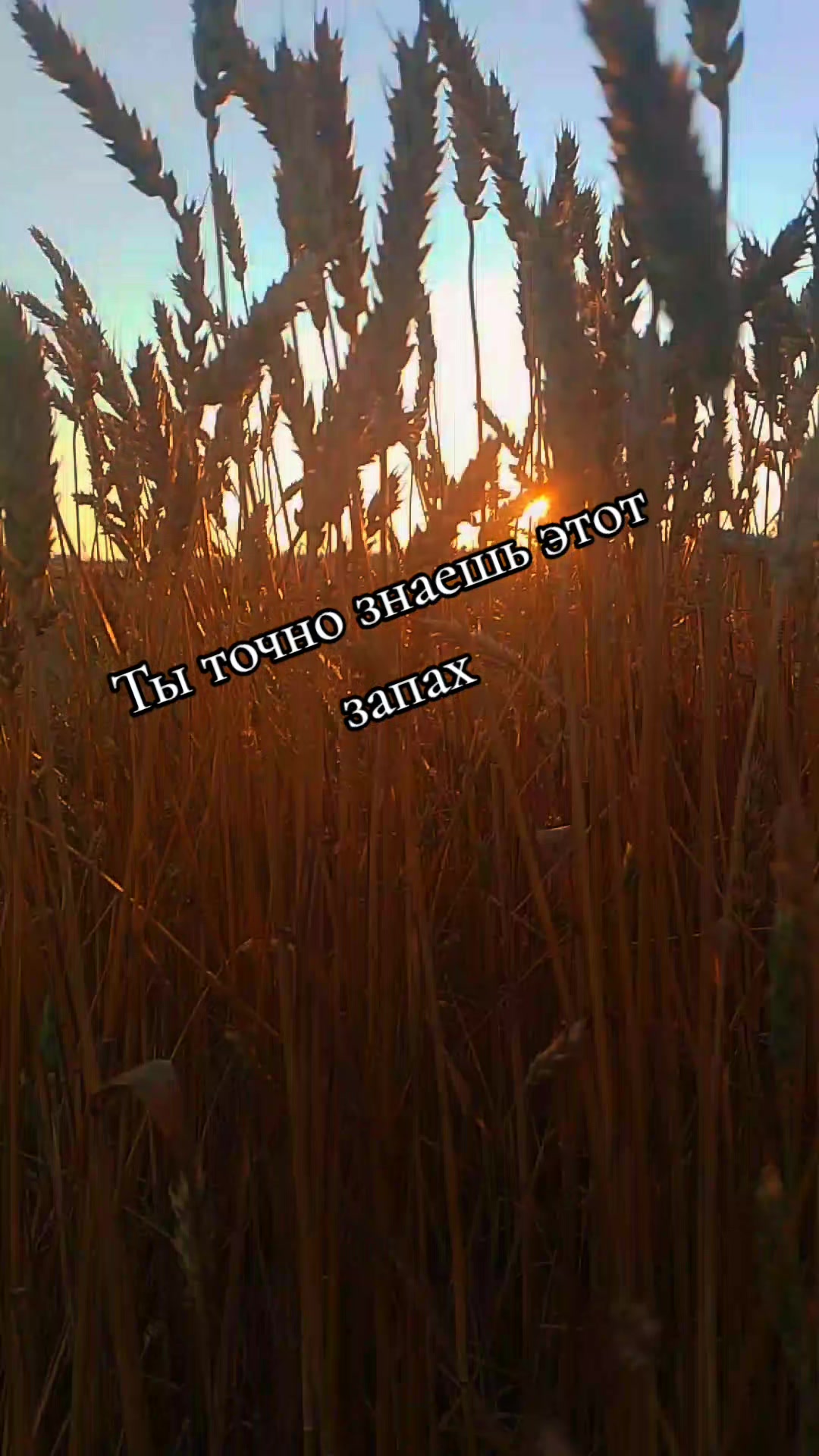 @Виктория