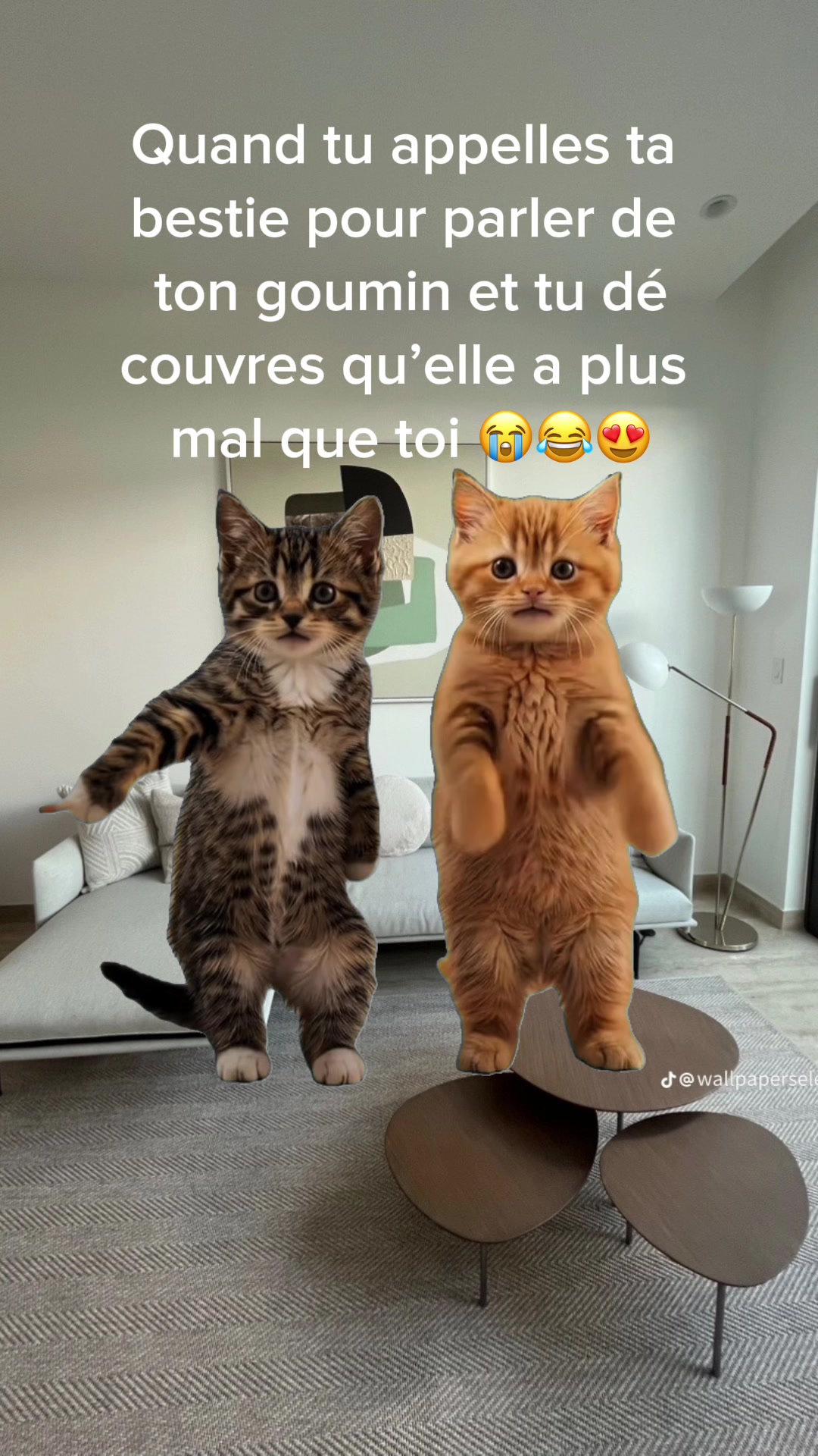 @elodie.2260