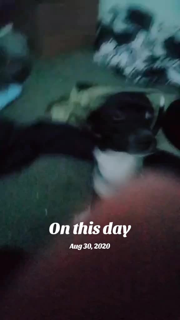 @DarkCrys