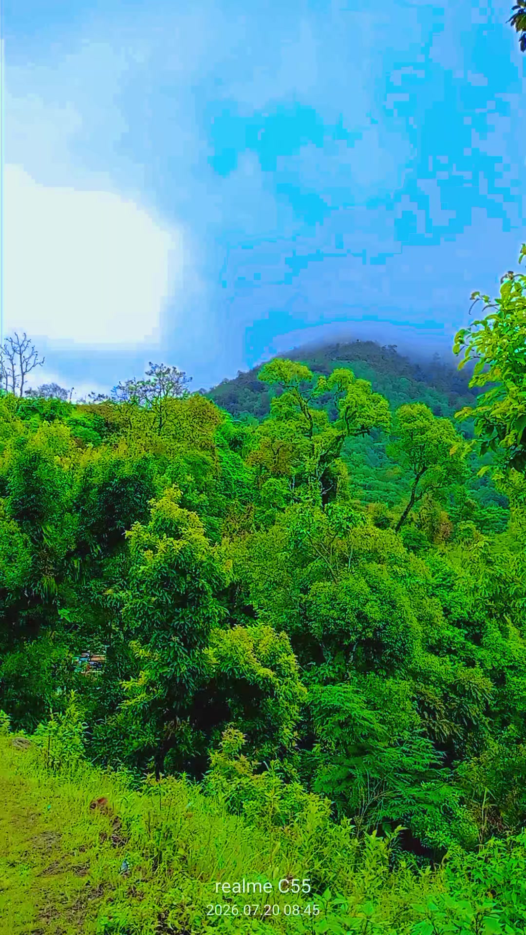 @Jeevan Shrestha7240