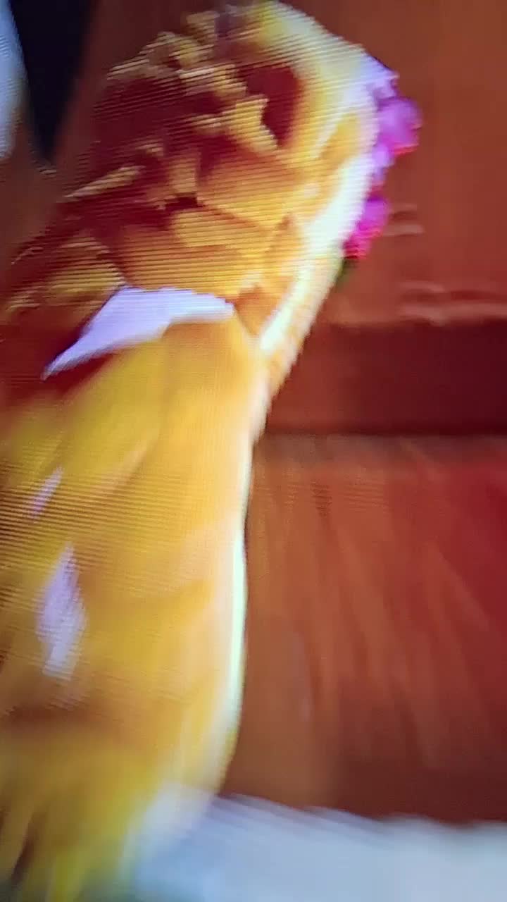 @Angel