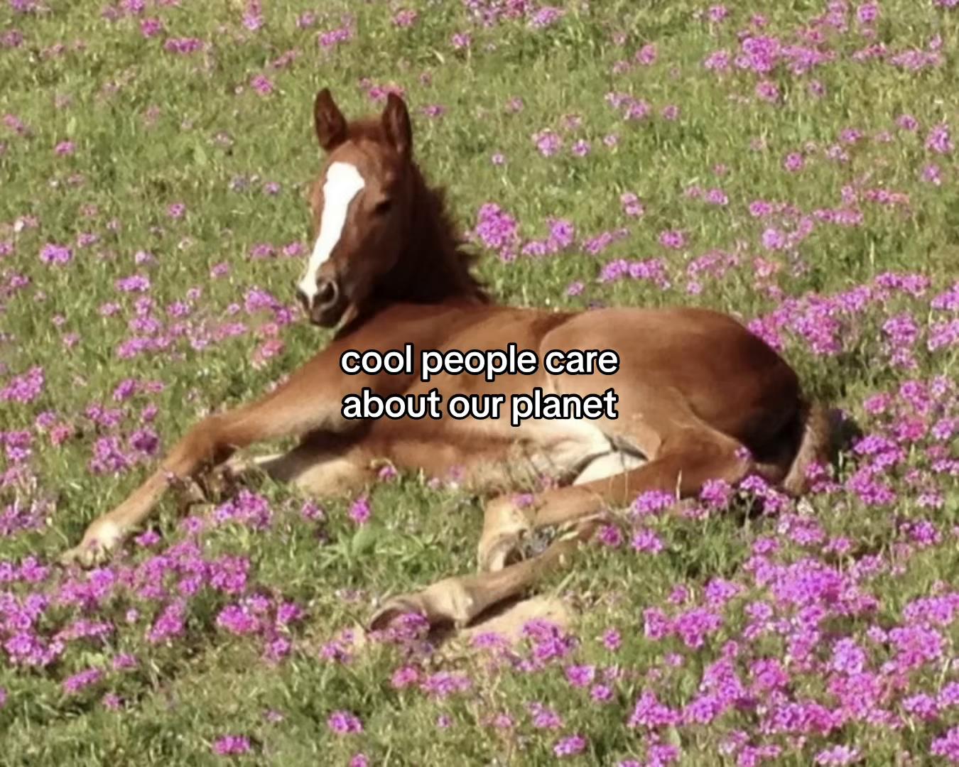 @౨ৎ