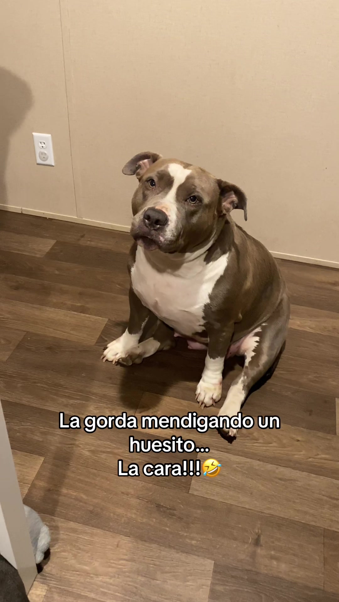 @Jas Ayala
