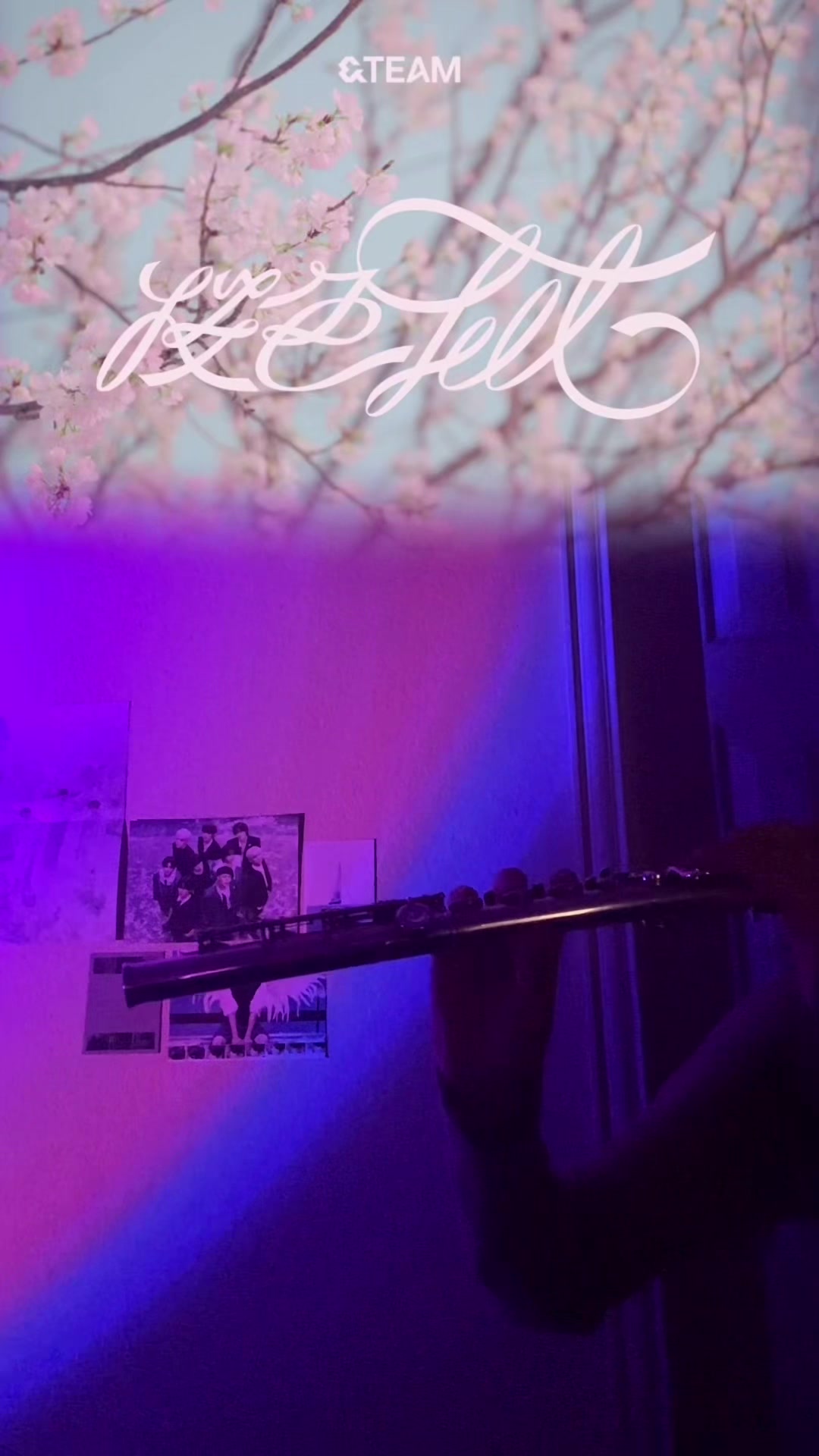 @₍^. .^₎⟆