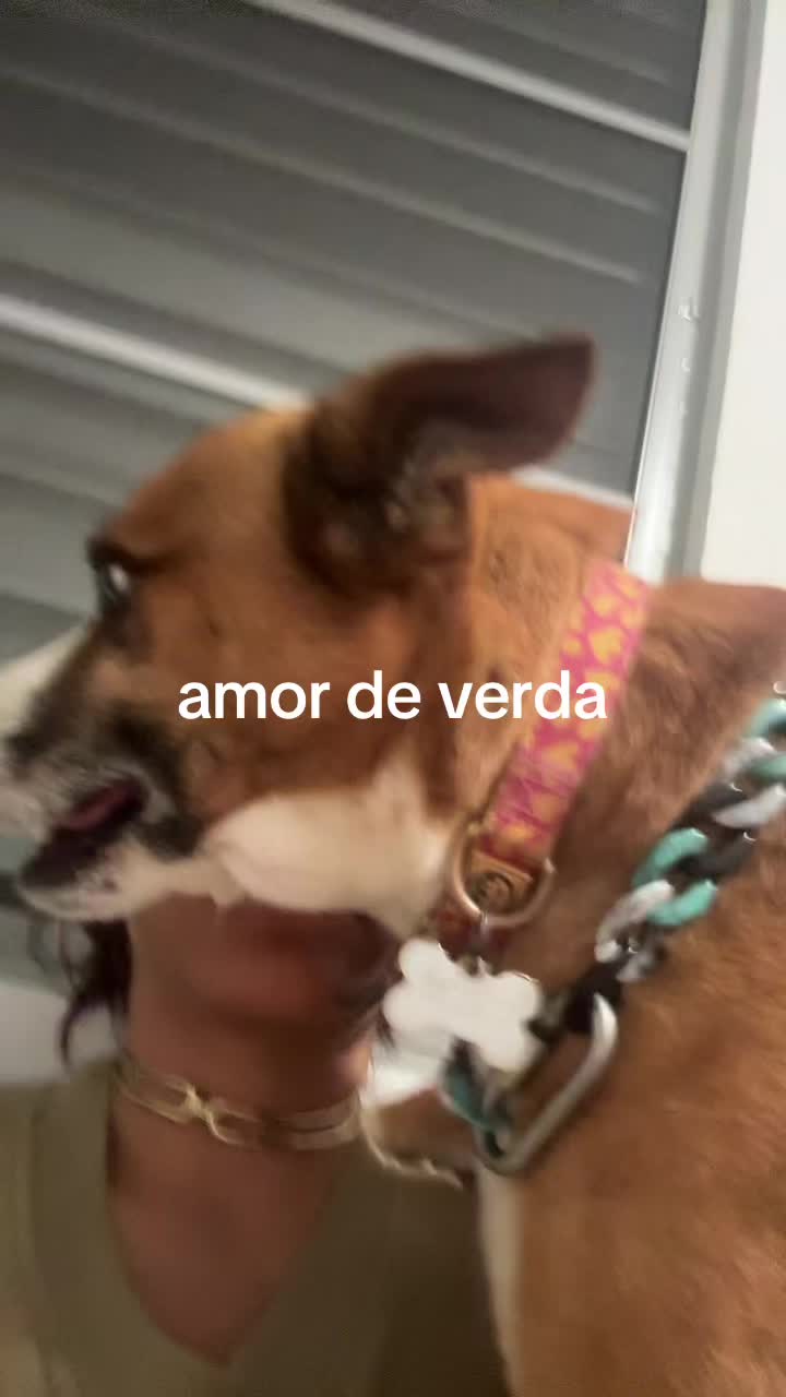 @RaiNao